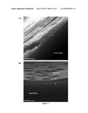 IONIC LIQUID MEDIATED SOL-GEL SORBENTS diagram and image