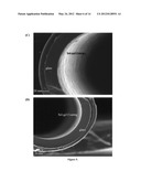 IONIC LIQUID MEDIATED SOL-GEL SORBENTS diagram and image