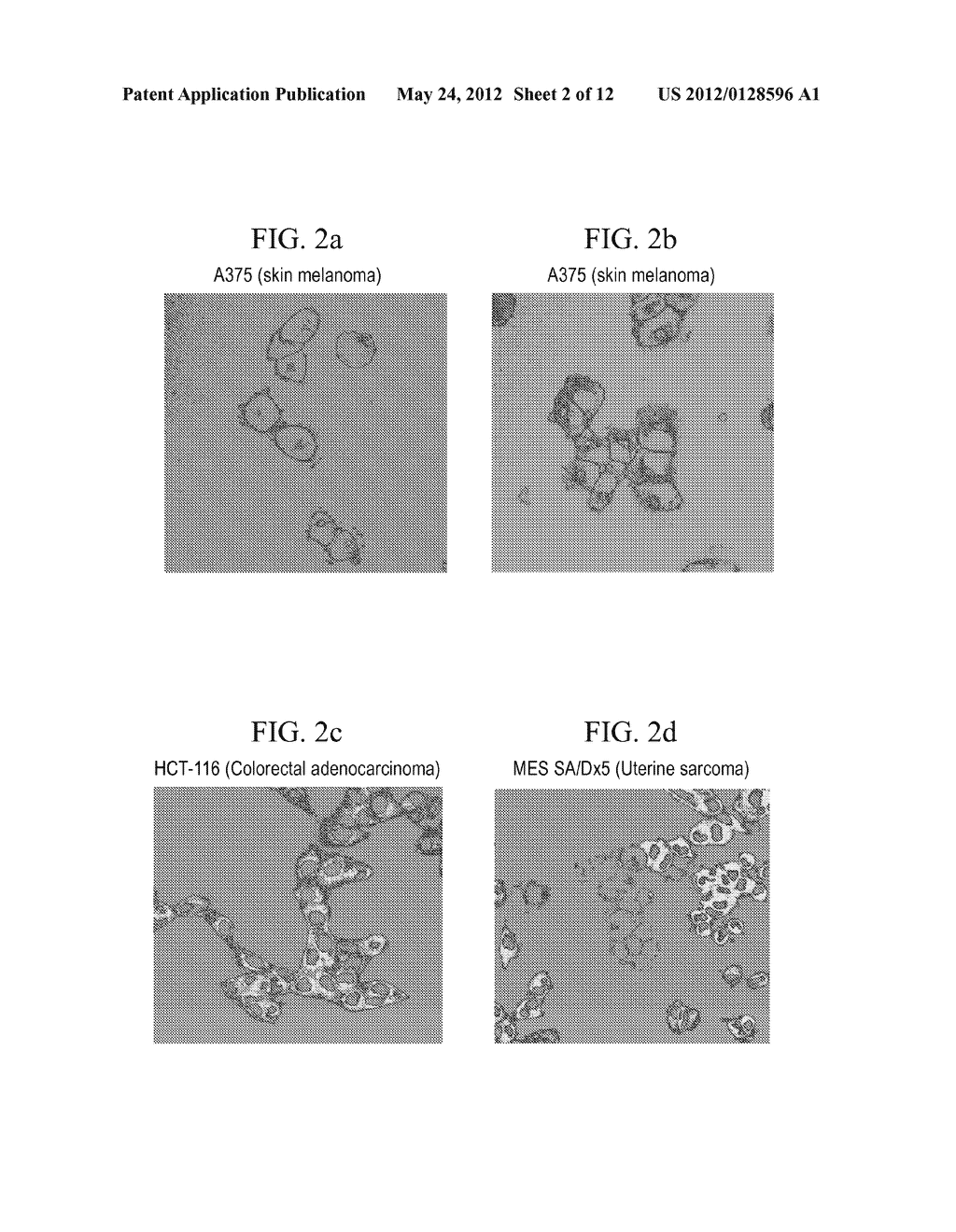 FLUORESCENT PHOSPHOLIPID ETHER COMPOUNDS, COMPOSITIONS, AND METHODS OF USE - diagram, schematic, and image 03