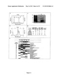 METHODS AND COMPOSITIONS FOR THE TREATMENT OF AUTOIMMUNE DISEASE diagram and image