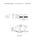 METHODS AND COMPOSITIONS FOR THE TREATMENT OF AUTOIMMUNE DISEASE diagram and image