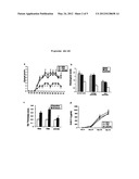 RAGE G82S-RELATED METHODS AND COMPOSITIONS FOR TREATING INFLAMMATORY     DISORDERS diagram and image