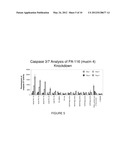 PANCREATIC CANCER TARGETS AND USES THEREOF diagram and image