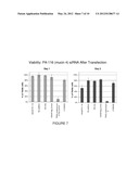 PANCREATIC CANCER TARGETS AND USES THEREOF diagram and image