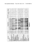 TENEURIN C-TERMINAL ASSOCIATED PEPTIDES (TCAP) AND METHODS AND USES     THEREOF diagram and image