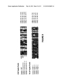 TENEURIN C-TERMINAL ASSOCIATED PEPTIDES (TCAP) AND METHODS AND USES     THEREOF diagram and image