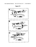 TENEURIN C-TERMINAL ASSOCIATED PEPTIDES (TCAP) AND METHODS AND USES     THEREOF diagram and image