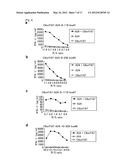 C6ORF167 PEPTIDES AND VACCINES CONTAINING THE SAME diagram and image