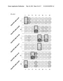 C6ORF167 PEPTIDES AND VACCINES CONTAINING THE SAME diagram and image