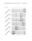 C6ORF167 PEPTIDES AND VACCINES CONTAINING THE SAME diagram and image