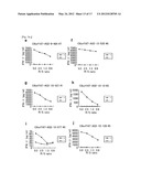 C6ORF167 PEPTIDES AND VACCINES CONTAINING THE SAME diagram and image