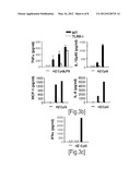 DETECTION/MEASUREMENT OF MALARIA INFECTION DISEASE UTILIZING NATURAL     IMMUNITY BY HEMOZOIN INDUCTION, SCREENING OF PREVENTATIVE OR THERAPEUTIC     MEDICINE FOR MALARIA INFECTION DISEASE, AND REGULATION OF NATURAL     IMMUNITY INDUCTION diagram and image