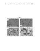 CORE-SHELL MATERIAL, METHOD FOR PREPARING SAME, AND USE THEREOF FOR THE     THERMOSTIMULATED GENERATION OF SUBSTANCES OF INTEREST diagram and image