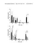 METHOD TO INHIBIT AIRWAY HYPERRESPONSIVENESS USING AEROSOLIZED T CELL     RECEPTOR ANTIBODIES diagram and image