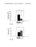 METHOD TO INHIBIT AIRWAY HYPERRESPONSIVENESS USING AEROSOLIZED T CELL     RECEPTOR ANTIBODIES diagram and image