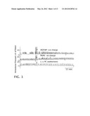 Sphingomyelin Liposomes for the Treatment of Hyperactive Bladder Disorders diagram and image