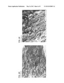 Method of Improving Pre-Baked Dough Products diagram and image