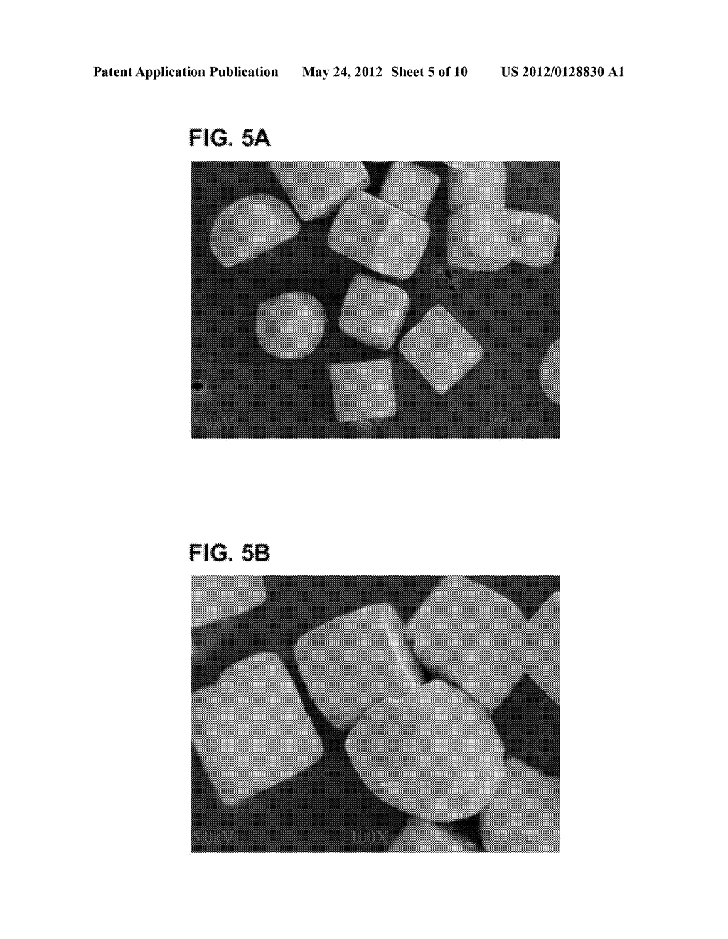 NOVEL LOW SODIUM SALT COMPOSITION - diagram, schematic, and image 06