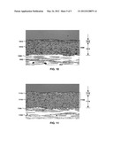 ABRADABLE LAYER INCLUDING A RARE EARTH SILICATE diagram and image