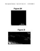 CARBON NANOTUBE GROWTH ON METALLIC SUBSTRATE USING VAPOR PHASE CATALYST     DELIVERY diagram and image