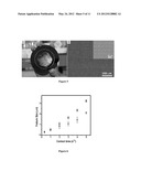 GEL POLYMER PEN LITHOGRAPHY diagram and image