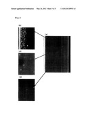 INTERMEDIATE TRANSFER BELT diagram and image