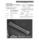 Method of Making Hydrophilic Fluoropolymer Material diagram and image