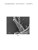 Method of Making Hydrophilic Fluoropolymer Material diagram and image