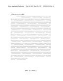 IMAGING INDIVIDUAL MRNA MOLECULES USING MULTIPLE SINGLY LABELED PROBES diagram and image