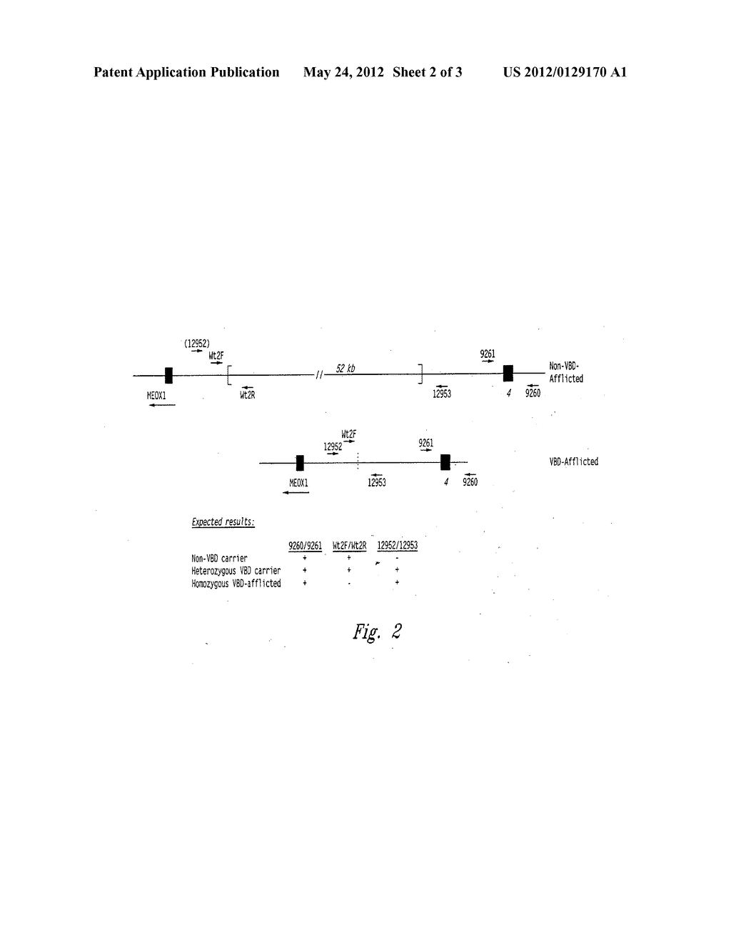 Methods for Identifying Genomic Deletions - diagram, schematic, and image 03