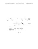 Methods for Identifying Genomic Deletions diagram and image