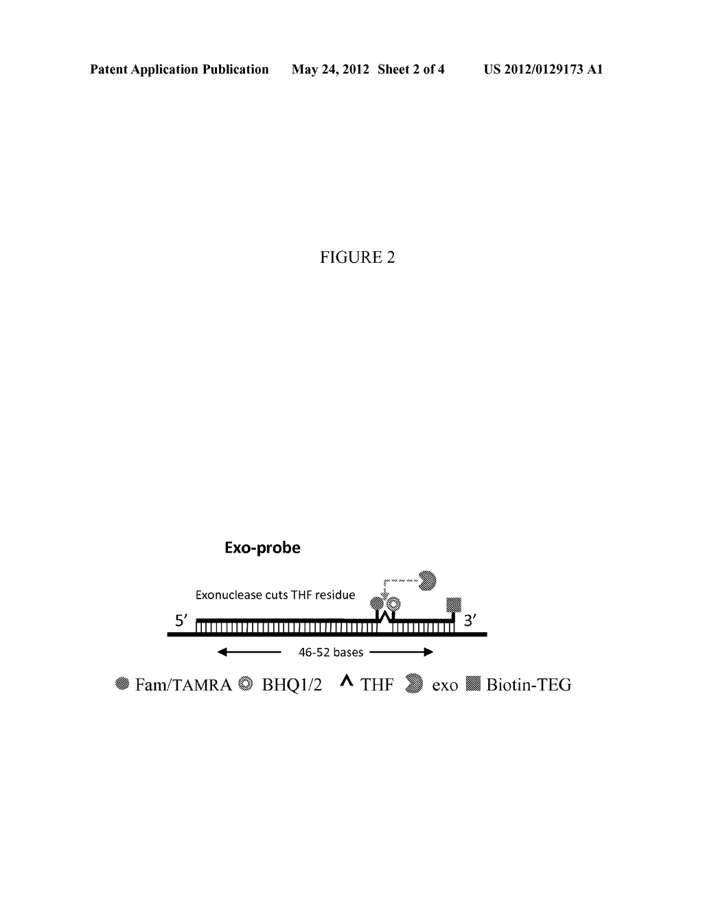 RECOMBINASE POLYMERASE AMPLIFICATION REAGENTS AND KITS - diagram, schematic, and image 03