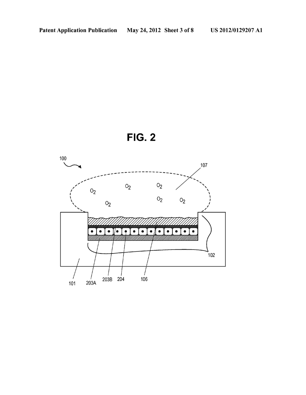 COMPOSITIONS AND METHODS OF FUNCTIONALLY ENHANCED IN VITRO CELL CULTURE     SYSTEM - diagram, schematic, and image 04