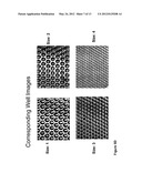 HONEYCOMB SHRINK WELLS FOR STEM CELL CULTURE diagram and image