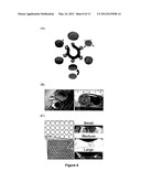 HONEYCOMB SHRINK WELLS FOR STEM CELL CULTURE diagram and image