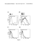 HONEYCOMB SHRINK WELLS FOR STEM CELL CULTURE diagram and image