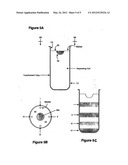 Method and apparatus for changing one type of cell into another type of     cell diagram and image