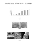 BACTERIAL CELLULOSE BASED  GREEN  COMPOSITES diagram and image