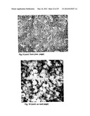 Apparatus For Culturing Anchorage Dependent Cells diagram and image