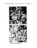 Apparatus For Culturing Anchorage Dependent Cells diagram and image