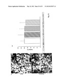 Apparatus For Culturing Anchorage Dependent Cells diagram and image