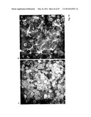 Apparatus For Culturing Anchorage Dependent Cells diagram and image