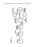 METHOD FOR PRODUCING PLURIPOTENT STEM CELLS diagram and image