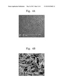 METHOD OF FABRICATING NANOWIRE POROUS MEDIUM AND NANOWIRE POROUS MEDIUM     FABRICATED BY THE SAME diagram and image