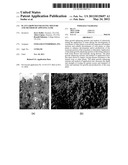 Plant Growth Enhancing Mixture and Method of Applying Same diagram and image