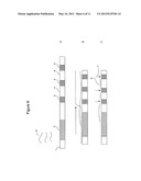 GENERATION OF UNIFORM FRAGMENTS OF NUCLEIC ACIDS USING PATTERNED     SUBSTRATES diagram and image