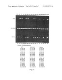 Qualitative/Quantitative Detection of Fungal Species diagram and image