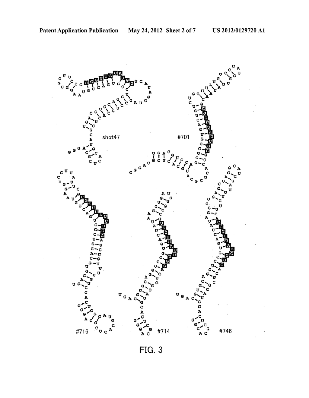 APTAMER THAT RECOGNIZES PEPTIDE - diagram, schematic, and image 03