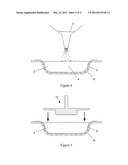 DOSAGE FORM DETERGENT PRODUCTS diagram and image