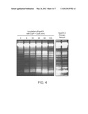 Inhibition of ApoE Cleavage Activity in the Treatment of ApoE-Related     Disorders diagram and image